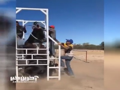 برای همین میگن هیچوقت از پشت به اسب نزدیک نشید!