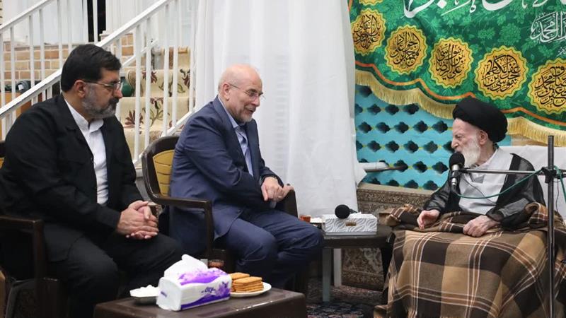 دیدار رئیس مجلس شورای اسلامی با آیت الله شبیری زنجانی