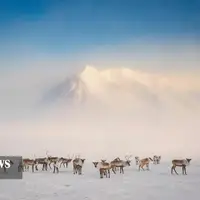 عکس/ تصاویر منتخب خبری جهان