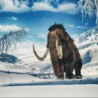 کشف قدیمی‌ترین DNA باکتریایی در دندان یک ماموت