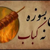 ضرب المثل/ نه سیخ بسوزه نه کباب!