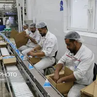 زنجیره کامل تولید لبنیات در همدان