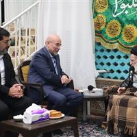 دیدار رئیس مجلس شورای اسلامی با آیت الله شبیری زنجانی