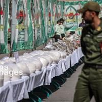 ۳ تن انواع مواد مخدر در گیلان کشف و ضبط شد