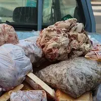 مقام قضایی: محموله گوشت‌های فاسد قبل از ورود به کشور برگشت داده شد