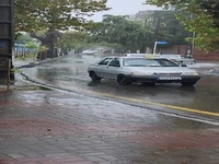 بارش باران در بندرانزلی