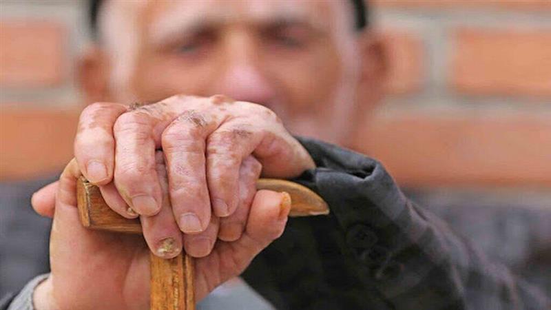 ۱۲۹ هزار سالمند زنجانی نیازمند تکریم و حمایت