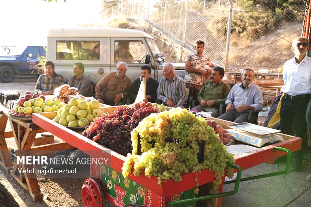 عکس/ جشنواره سیب و انگور سی سخت با حضور وزیر میراث فرهنگی