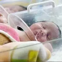 رشد ۸۳ درصدی قیمت پوشک نوزاد طی یکسال 