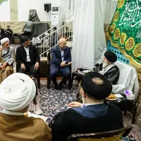 رئیس مجلس با مراجع تقلید در قم دیدار کرد