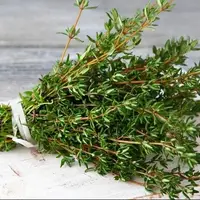 ساخت حسگر آنفلوانزا با طعمی مشابه آویشن