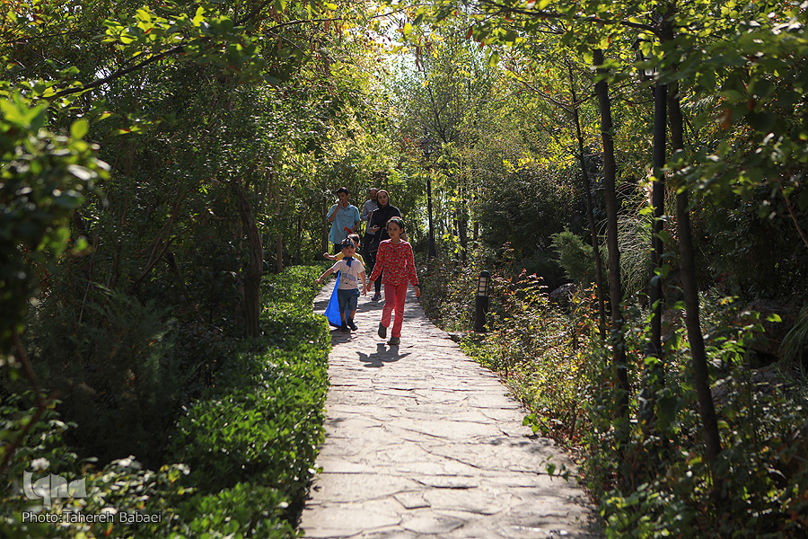 باغی برای پرندگان