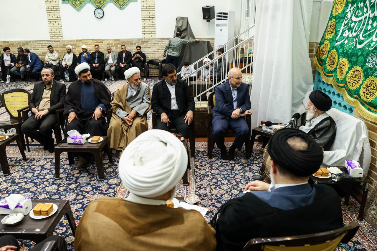 رئیس مجلس با مراجع تقلید در قم دیدار کرد