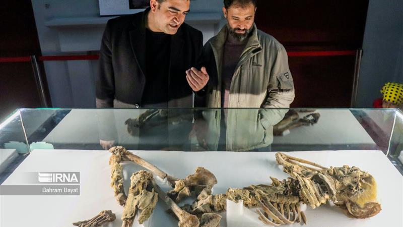 افزایش موزه ها در زنجان نقش مهمی در جذب گردشگران فرهنگی دارد