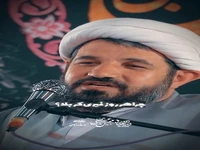 هر روز میری کربلا؟