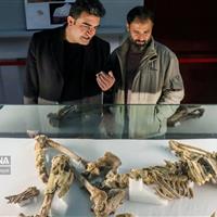 افزایش موزه ها در زنجان نقش مهمی در جذب گردشگران فرهنگی دارد