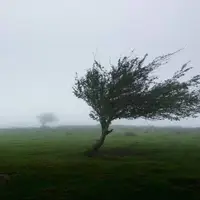 وزش باد در خراسان رضوی شدت می‌گیرد
