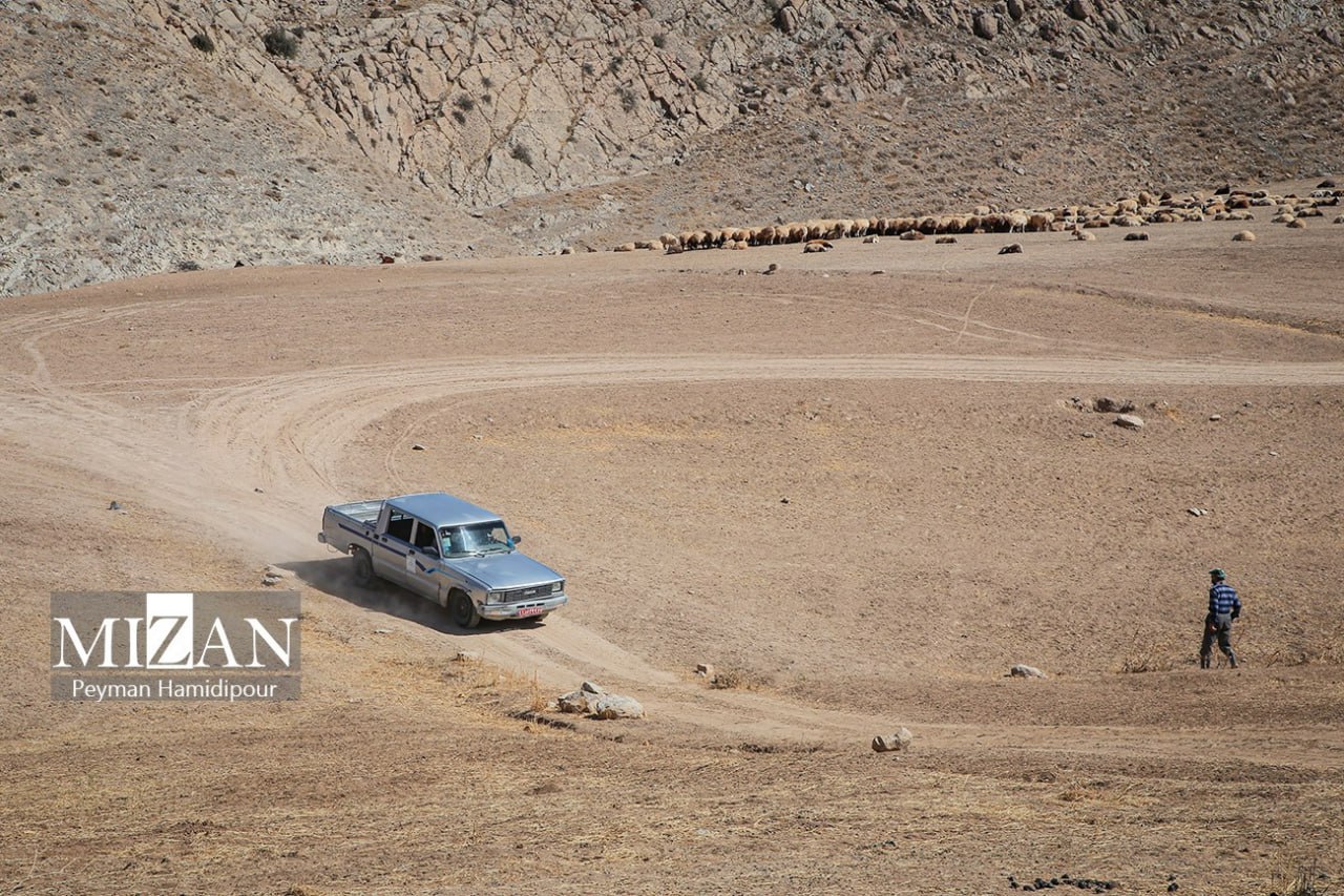 واکسیناسیون دام در روستاهای خراسان شمالی