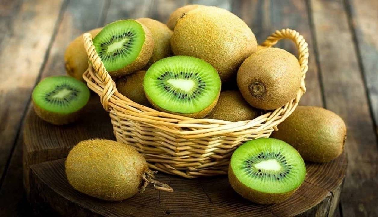 پیشبینی ۶۰ میلیون دلار درآمد ارزی از صادرات کیوی مازندران