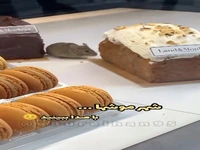 پاریس یا شهر موش ها؟