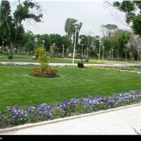 اخبار تهران|بهره‌برداری از بوستان «محبت» در محله طرشت/ احداث 17 پروژه احداثی در منطقه 8