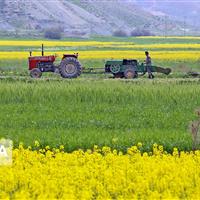 اجرای طرح الگوی کشت در قم موجب کاهش مصرف آب بخش کشاورزی می‌شود