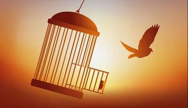 آزادی ۶۶ زندانی جرایم غیرعمد در سیستان و بلوچستان