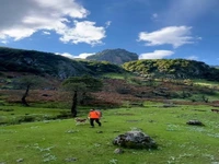 اینجا ایران است