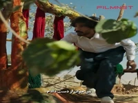 تو اگه جای من بودی چیکار میکردی!