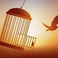 آزادی ۶۶ زندانی جرایم غیرعمد در سیستان و بلوچستان