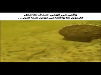 شنای بامزه صدف‌های دریایی کارتونی 