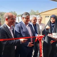 استاندار مرکزی: توسعه آموزش‌های مهارتی راهکار موثر اشتغال پایدار است