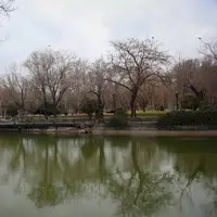 خنکای پاییزی در مشهد بیشتر می‌شود؛ بخاری‌ها را آماده کنید!
