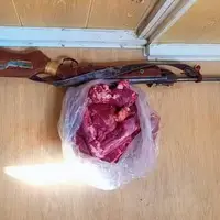 دستگیری شکارچی کل وحشی در بشاگرد
