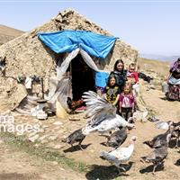 بهره‌مندی یک‌هزار و ۵۱۶ مادر روستایی دارای سه‌فرزند استان سمنان از بیمه اجتماعی رایگان