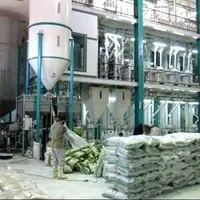 نوسازی ۴۰۷ کارخانه شالیکوبی در گیلان