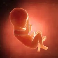 هشدار رئیس انجمن متخصصین زنان درباره به تعویق انداختن بارداری