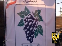 جشنواره‌ انگور سیاه میرآباد