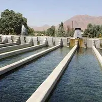 احیای ۲۲ مزرعه غیرفعال پرورش ماهی در نهاوند