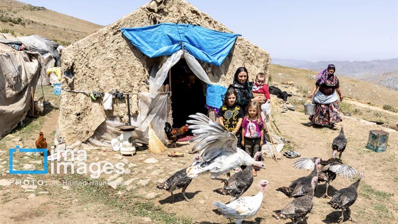 بهره‌مندی یک‌هزار و ۵۱۶ مادر روستایی دارای سه‌فرزند استان سمنان از بیمه اجتماعی رایگان