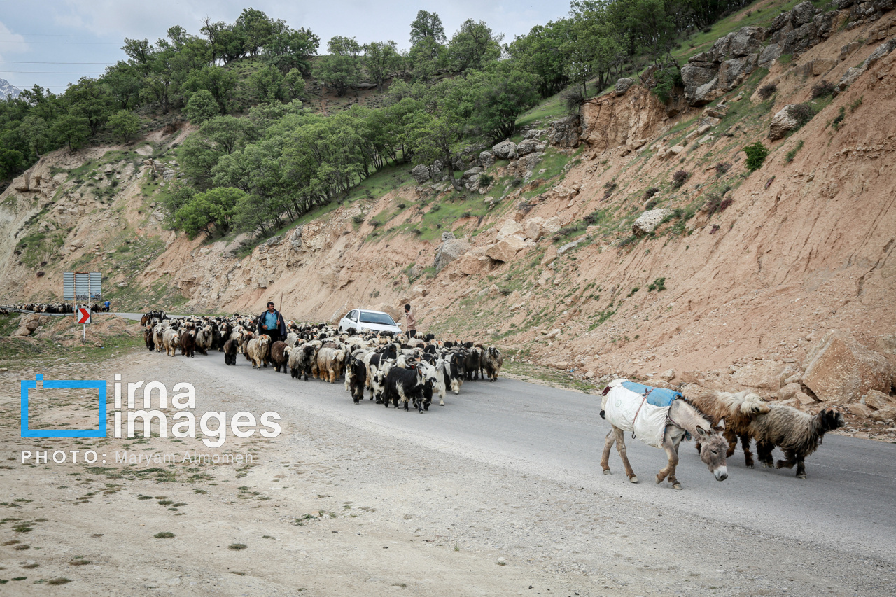 زندگی عشایری