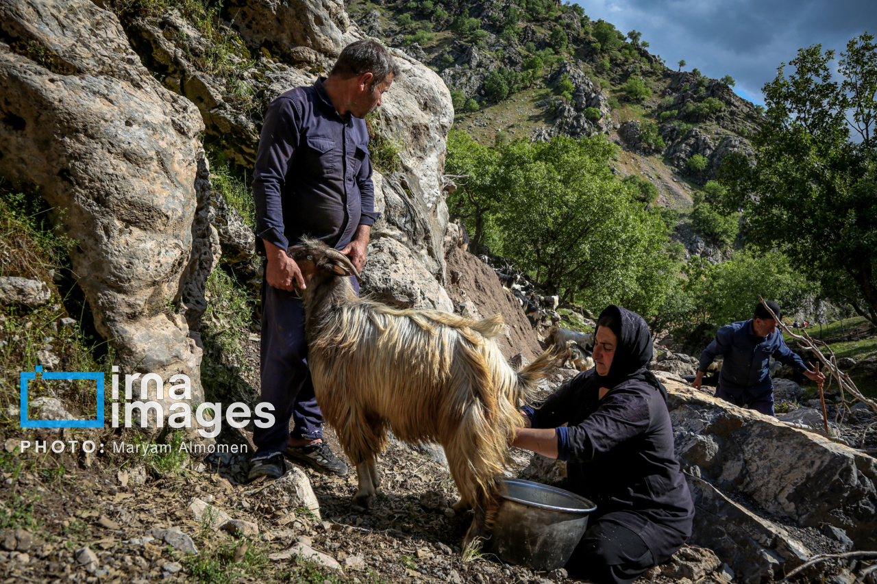زندگی عشایری ایل بختیاری