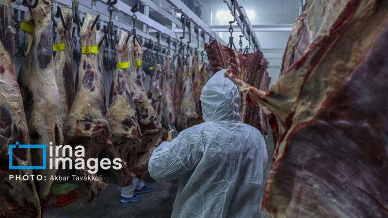 ۱۰ هزار و ۷۷۷ تُن گوشت در خمین تولید شد
