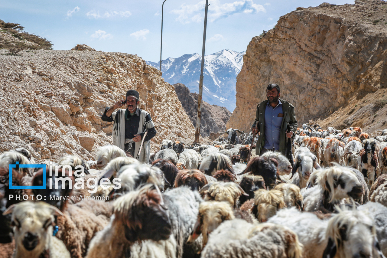 زندگی عشایری ایل بختیاری