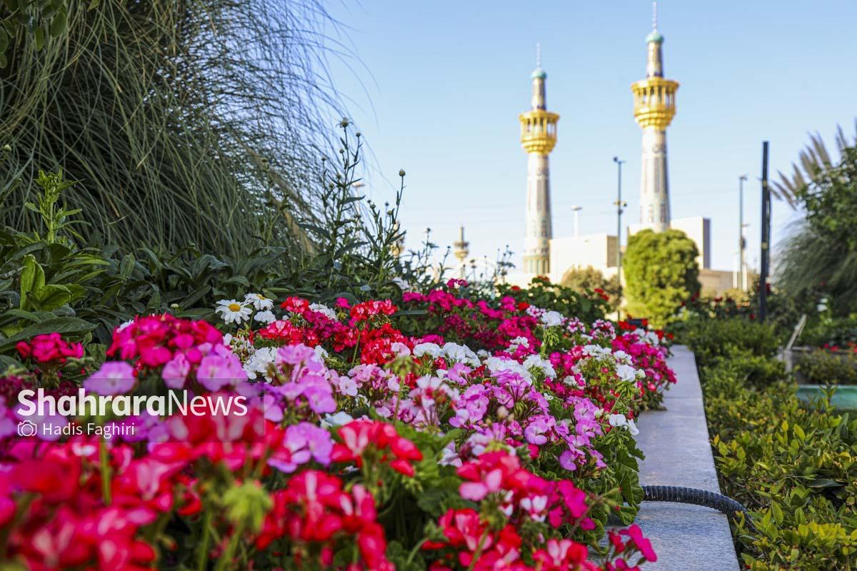 پاییز بهاری مشهد
