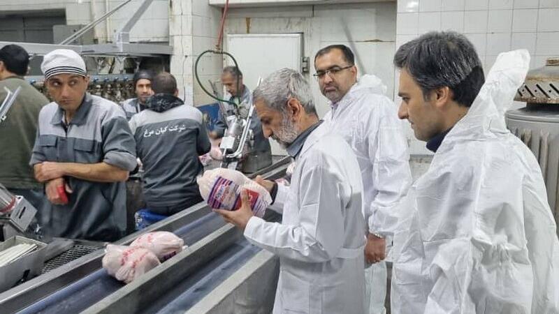 استاندار زنجان: دامپزشکان در خط مقدم صیانت از سلامت جامعه قرار دارند