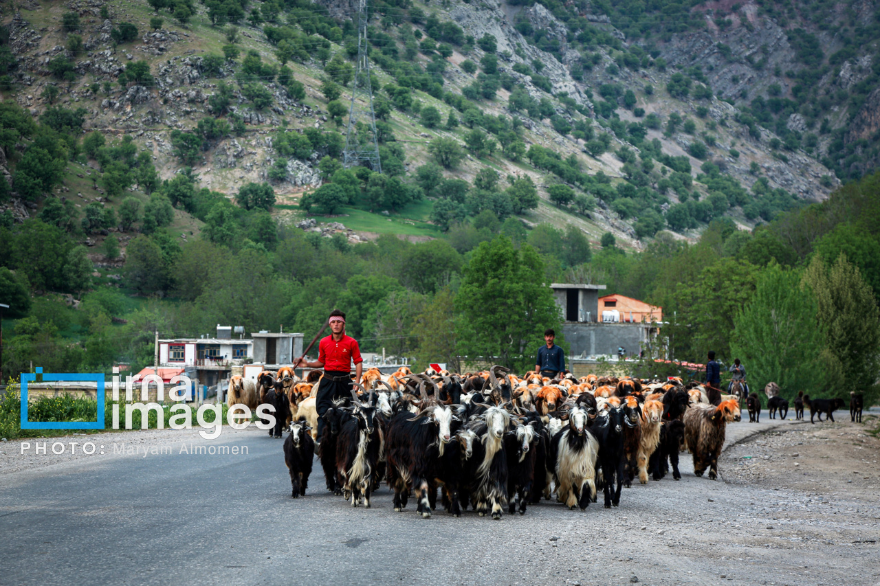 زندگی عشایری