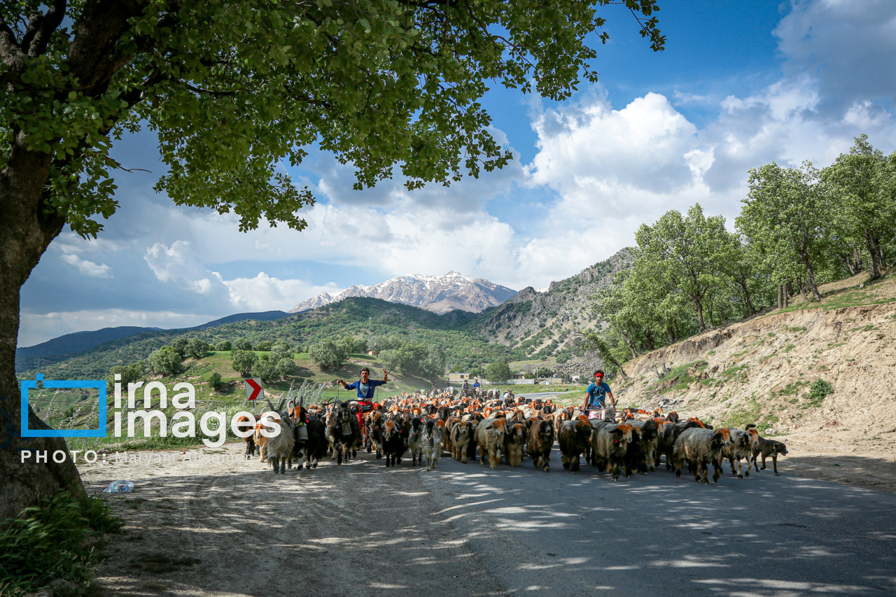 زندگی عشایری