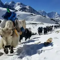 تلاش برای نجات ۱۰۰۰ کوهنورد گیر افتاده در اورست