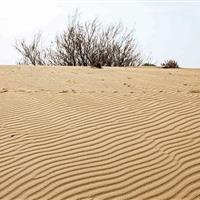 ۲۰۰ میلیارد ریال برای مهار گردوغبار سراجه قم اختصاص یافت